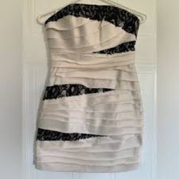 Nightway collections dress Champaign and black lace trim size 8 NWT - Picture 4 of 4